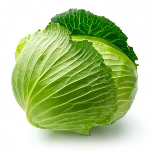 CABBAGE (BANDHA KOBI, ବନ୍ଧାକୋବି)