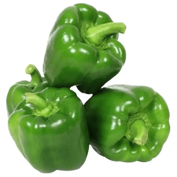 CAPSICUM (SIMLA MIRCHI)