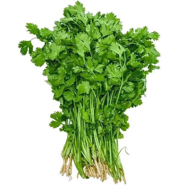 CORIANDER LEAVES (DHANIA PATRA, ଧଣିଆ ପତ୍ର)