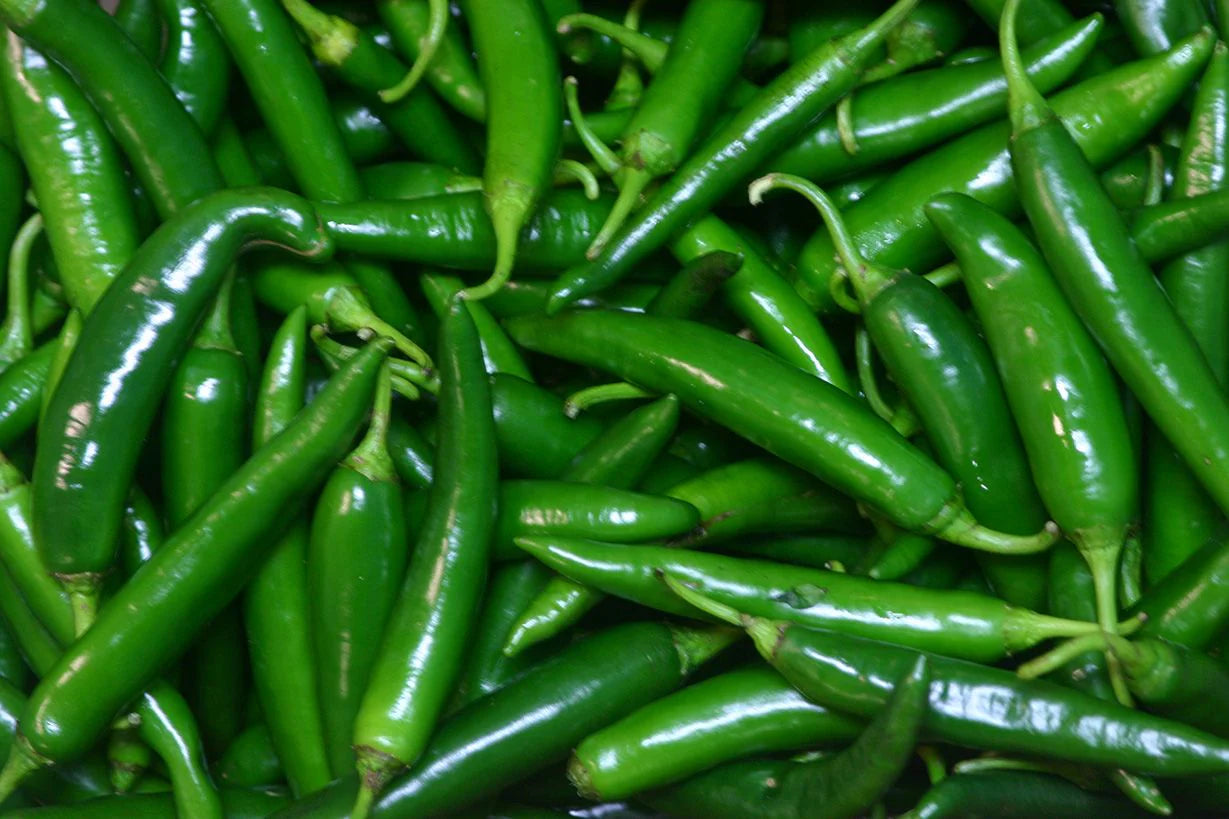 GREEN CHILLI(MIRCHI, କଞ୍ଚାଲଙ୍କା)