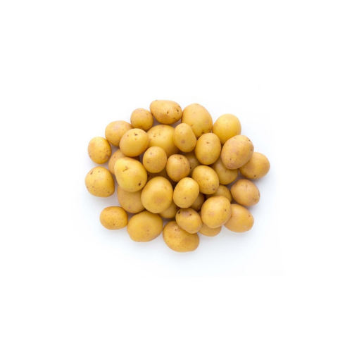 POTATO (ALU, ଆଳୁ)