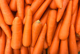 CARROT (GAJARA, ଗାଜର)