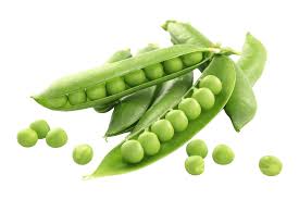 GREEN PEAS (MATARA CHHUI, ମଟର ଛୁଇଁ)