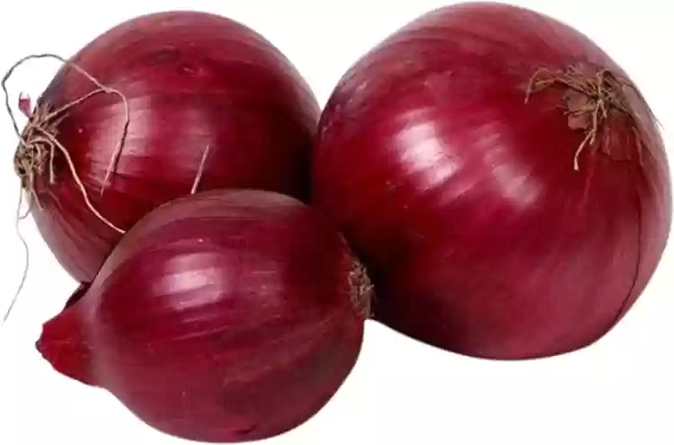 ONION (PIAJ, ପିଆଜ)