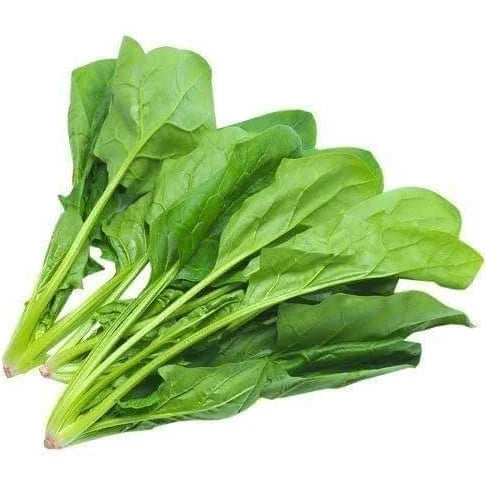 PALAK (ପାଳଙ୍ଗ ଶାଗ)